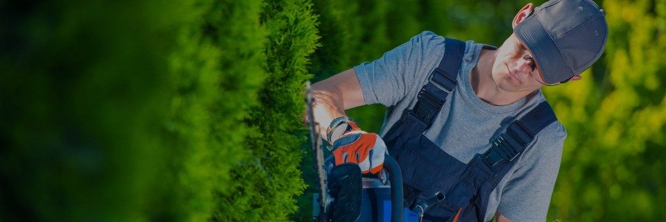 B S Landscaping Lawn Care Expert, S And B Landscaping